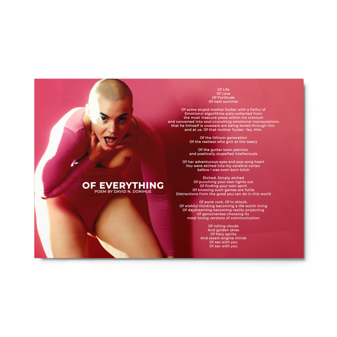 Ltd Edition Poem on an Extra Large 24x36 High Gloss Metal prints "OF Everything" By David N. Donihue (1/1000)